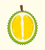 Fresh durian isolated on background, Durian fruit isolated on white background. fruit isolated. King of fruit in Thailand. vector