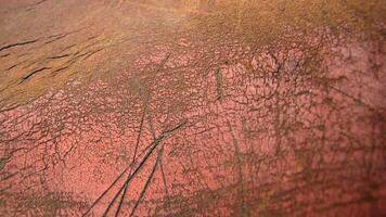 a close up of a red and brown leather surface photo