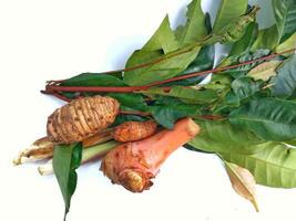 spices consisting of turmeric, galangal, bay leaves, ginger for food seasoning on a white background photo