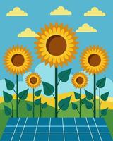 A field of sunflowers soaking up the suns rays are surrounded by rows of solar panels which power the irrigation system keeping them hydrated.. illustration. vector