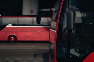 red bus with a black mirror is next to another red bus photo