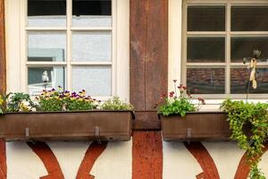 two window boxes with flowers in them are on a building photo