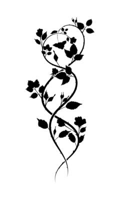 ornament roses weave pattern for typography