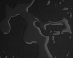 Abstract black and white photo background close view. Natural pattern surface