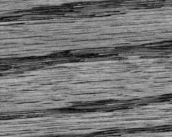Natural abstract black and white monochrome background for covers photo