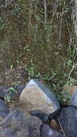 close up texture of rock fragments and soil as background photo