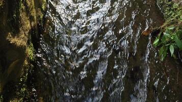 clear source water flows in the background photo