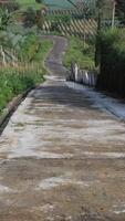cast derivative road next to fields in the highland area photo
