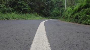 asphalt road in the middle of the forest photo