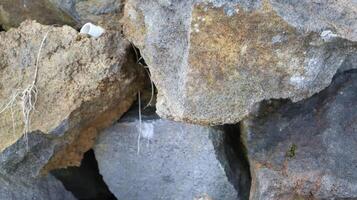 close up texture of rock fragments and soil as background photo