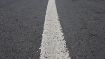 close up of the texture of a paved road in the middle of the forest photo
