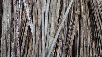 Textured old bamboo pieces as background. Wooden background, texture of vertical bamboo pieces photo