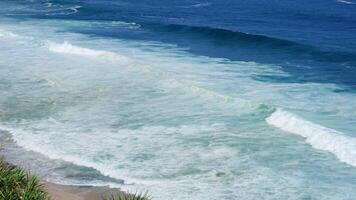 beautiful beach view with small waves rolling and white foam and green plants photo