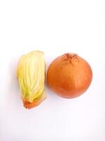 Close up image of a whole, unpeeled onion next to chopped onions. photo