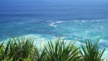 view of rolling waves and ocean from the top front view and surrounded by green plants. The beach is very beautiful. Idea as background, holiday, poster photo