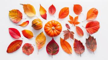 A pumpkin sits in the middle of a collection of orange leaves photo