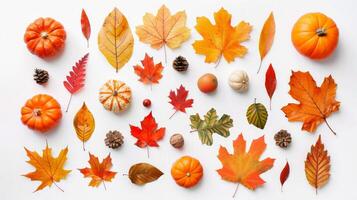 A collection of autumn leaves and pumpkins arranged on a white background photo