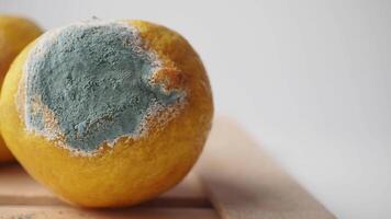 closeup of Molded lemon on table . video