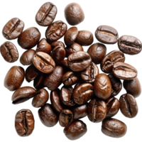 Coffee beans Isolated png