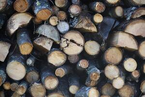 Chopped firewood on a stack photo