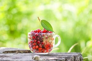 Ripe cherries and strawberries in a transparent cup on tree stump. Fresh red fruits in summer garden. photo