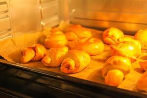 Homemade sweet cinnamon roll baking on a sheet in oven photo