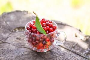 Ripe cherries and strawberries in a transparent cup on tree stump. Fresh red fruits in summer garden. photo