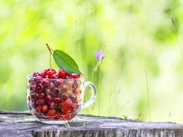 Ripe cherries and strawberries in a transparent cup on tree stump. Fresh red fruits in summer garden. photo