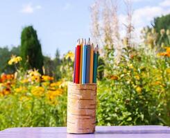 Colored pencils in a handmade birch bark organiser on nature background photo
