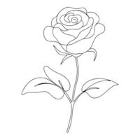 Continuous one line drawing Rose Line art Abstract minimal Beautiful flower vector