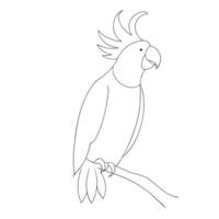 Parrot drawing in continuous one line art sketch vector