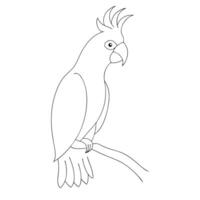 Parrot drawing in continuous one line art sketch vector