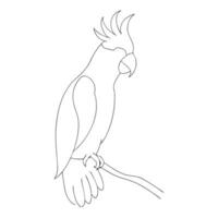 Parrot drawing in continuous one line art sketch vector