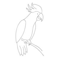 Parrot drawing in continuous one line art sketch vector