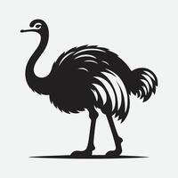 Majestic Ostrich Silhouette, Grace and Elegance in Profile vector