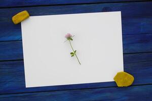 Summer flowers with blank paper for greeting message. Vintage Floral mock up with wild flowers. photo
