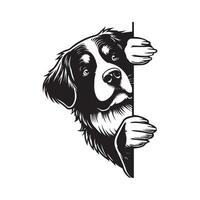 Bernese Mountain dog peeking face - dog face logo illustration in black and white vector