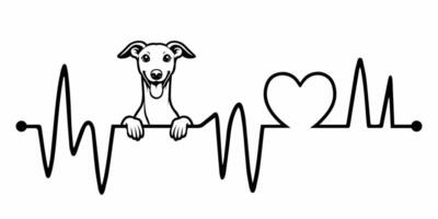 Heartbeat pulse line with Whippet Dog Peeking - Dog and Cardiogram wave with Heart Love illustration vector