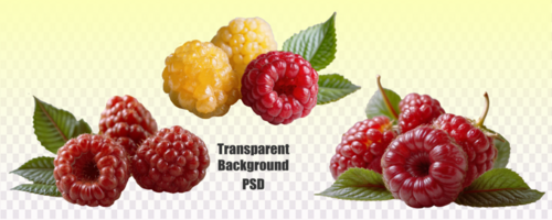 A background with red and yellow raspberries on a transparent backdrop, showcasing the vibrant colors of the fruit psd