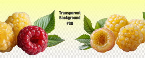 A row of ripe raspberries with green leaves, set against a transparent background, represents a delicious and natural image of fresh fruit in a botanical setting psd