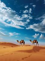 Camel Wandering in Vast Desert Dunes at Sunset photo