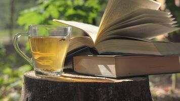 A peaceful scene of a cup of tea and an open book resting on a tree stump in a forest setting. The sun shines through the leaves, creating a warm and inviting atmosphere. Concept of reading in nature. video