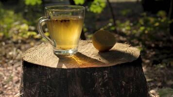 A close-up view of a glass of tea and a lemon slice on a tree stump in the forest. The sun shines through the leaves, casting a warm glow on the scene. video