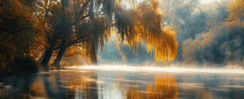 Golden Autumn Sunrise Over a Misty Lake photo