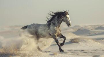 A Grey Horse Running Through A Dusty Desert Landscape photo