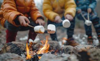 Children Roasting Marshmallows Over a Campfire on a Cold Day photo