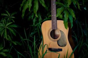 Acoustic guitar, stringed musical instrument, placed in the grass, classical guitar, playing music and relaxing. photo