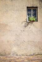 wall of a house with a window, flowers on the windowsill rustic style house facade photo