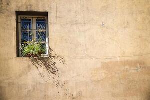 wall of a house with a window, flowers on the windowsill rustic style house facade photo