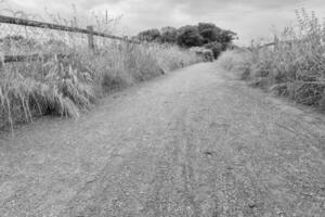 path made of chippings with fences on the left and right, greyscale shot photo